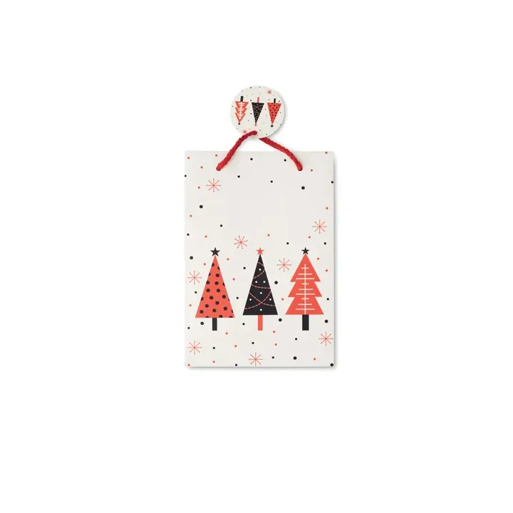 Gift paper bag small - CX1561 (MOCN#06)